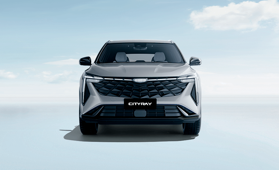 Parrilla frontal de diseño único